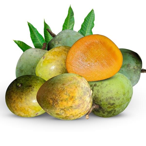 Haribhanga Mango