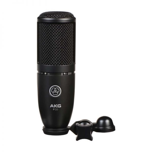 Microphone
